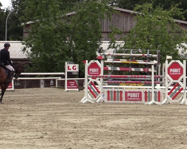 Reitturnier Haren-Raken 2022