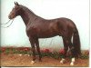 stallion Don Lauredo (Hanoverian, 2001, from Donnerhall)