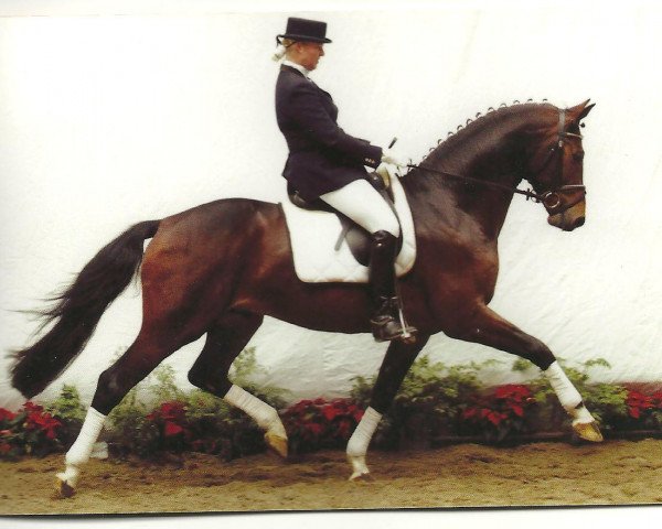 stallion Florentino (Westphalian, 1999, from Feuerglanz)