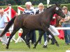 broodmare Clooney's Daylight (German Riding Pony, 2009, from Clooney AT)