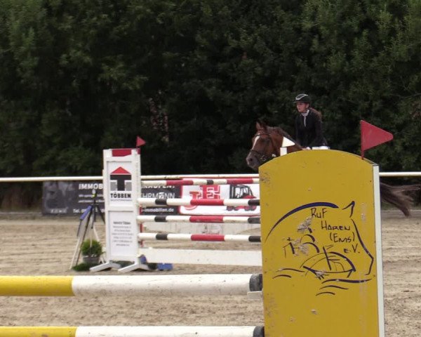 Reitturnier Haren-Raken 2022