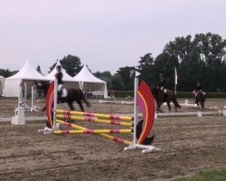 dressage horse Florencia R (Westphalian, 2008, from Florestan I)