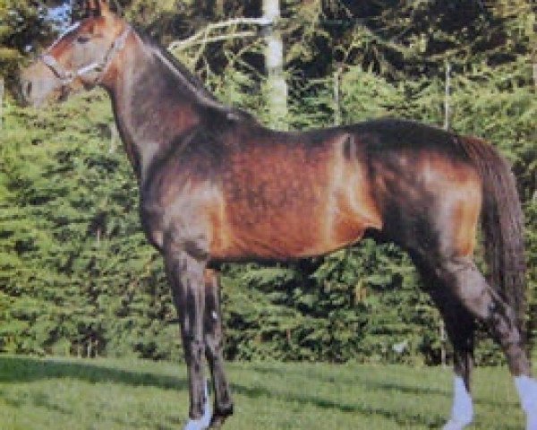 Deckhengst Charente River xx (Englisches Vollblut, 1992, von Sadler's Wells xx)