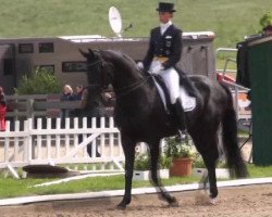 stallion Fontenay (Westphalian, 2004, from Fidermark)