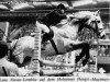 Pferd Maximus 620 SWE (Holsteiner, 1963, von Manometer xx)