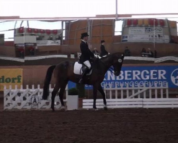 dressage horse Venturo 6 (Trakehner, 1998)