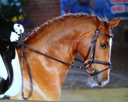 broodmare Taormina II (Trakehner, 2001, from Freudenfest)