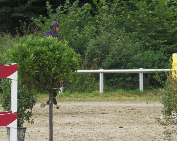 Reitturnier Hünfelden-Kirberg 2022