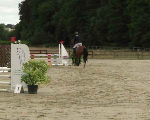 Reitturnier Hemer-Oese an der Edelburg 2022
