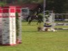 jumper Pretty Woman 203 (German Riding Pony, 2006, from FS Pearcy Pearson)