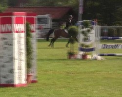 jumper Pretty Woman 203 (German Riding Pony, 2006, from FS Pearcy Pearson)