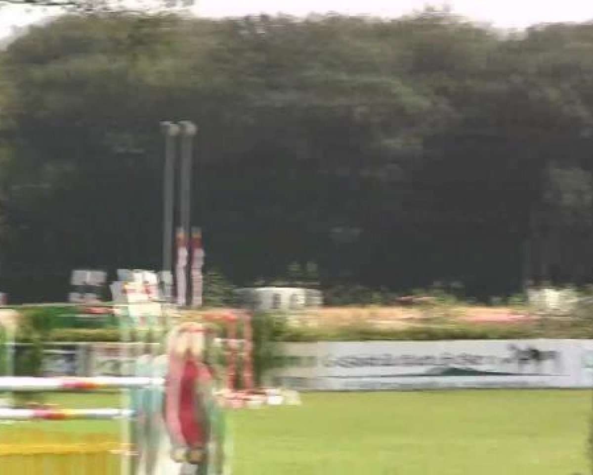 Springpferd Frantic 15 (Hannoveraner, 2007, von For Pleasure)