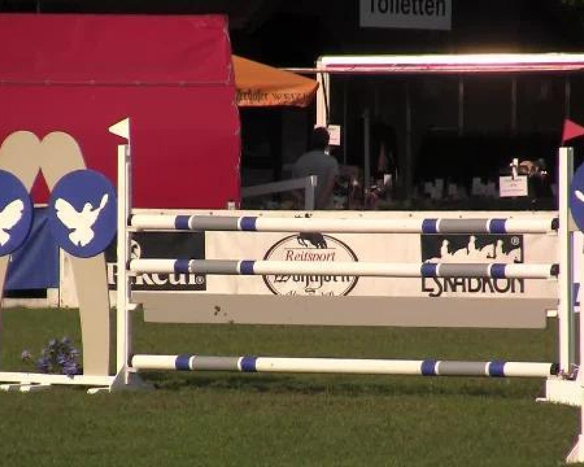 stallion Coester 4 (Oldenburg, 2006, from Coupe de Coeur 2)