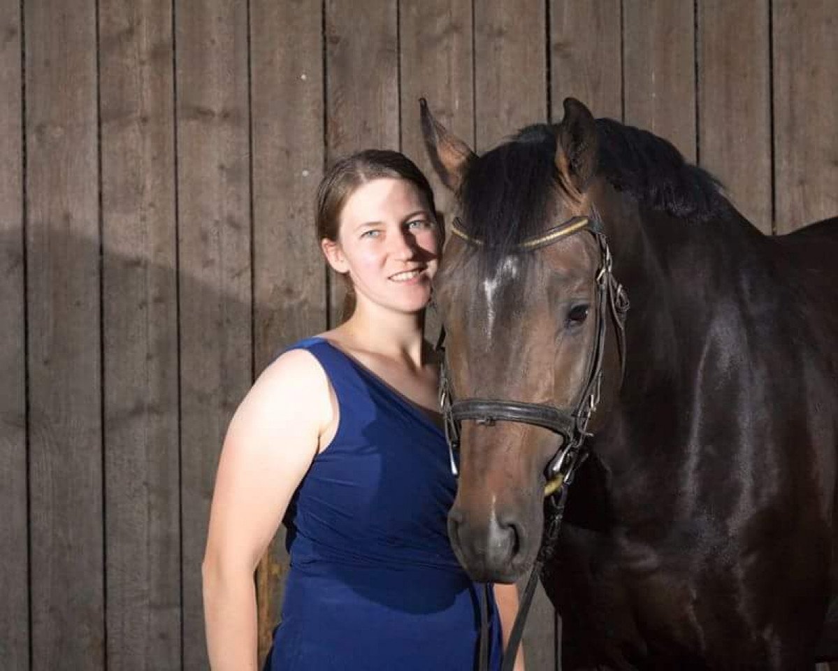 horse Dynamik T (Holsteiner, 2012, from Diarado)