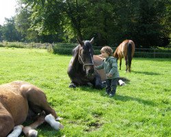 broodmare La Coruna (Oldenburg, 1991, from Larinero)