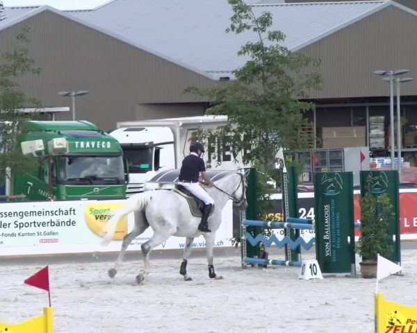 Reitturnier Gossau (Stall Sommersweid) 2022