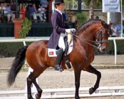 Deckhengst Rubi (Lusitano, 1998, von Batial)