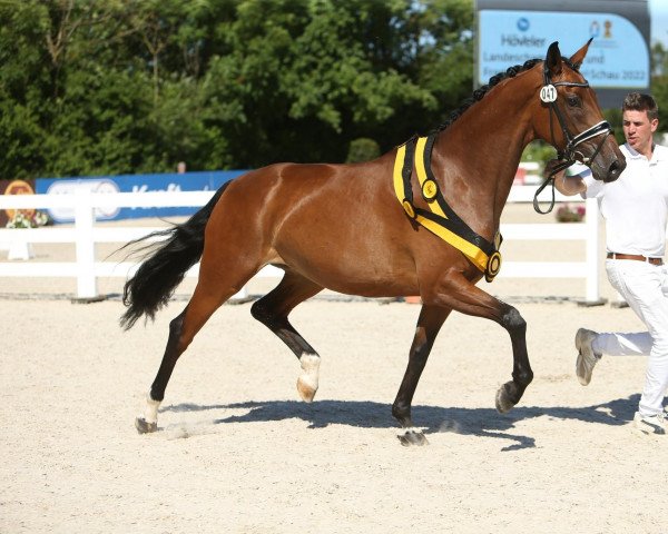 dressage horse Valina 11 (German Sport Horse, 2018, from Vitalis)