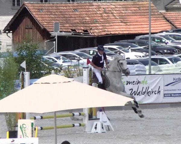 Reitturnier Gossau (Stall Sommersweid) 2022