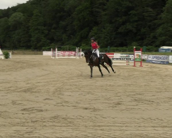 Reitturnier Hemer-Oese an der Edelburg 2022