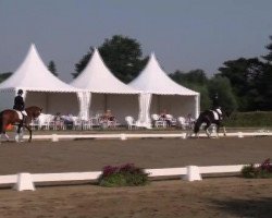 dressage horse La Macchiata (Westphalian, 2008, from Lugato)