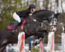 jumper Carlo Calucci 8 (Oldenburg show jumper, 2015, from Capistrano 2)