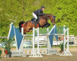 jumper Batida 135 (Hanoverian, 2015, from Balous Bellini)