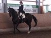 dressage horse Roxette 122 (Hessian Warmblood, 2002, from Rubioso N)