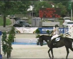 jumper Feel Funky Hh (Hanoverian, 2005, from For Edition)