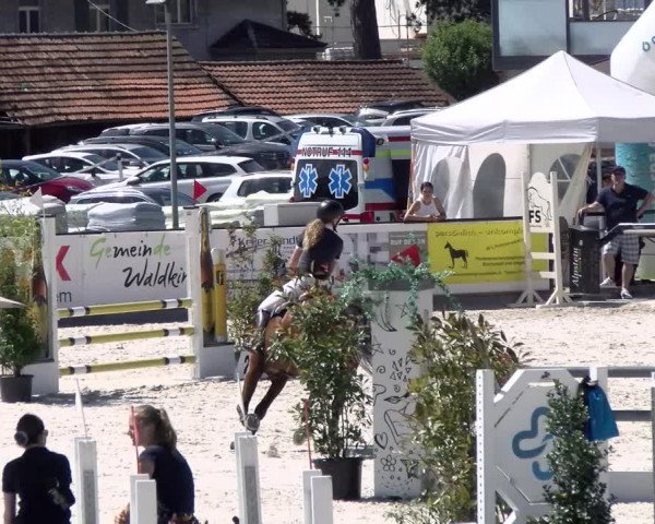 Reitturnier Gossau (Stall Sommersweid) 2022