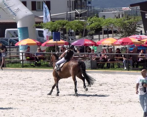 Reitturnier Gossau (Stall Sommersweid) 2022