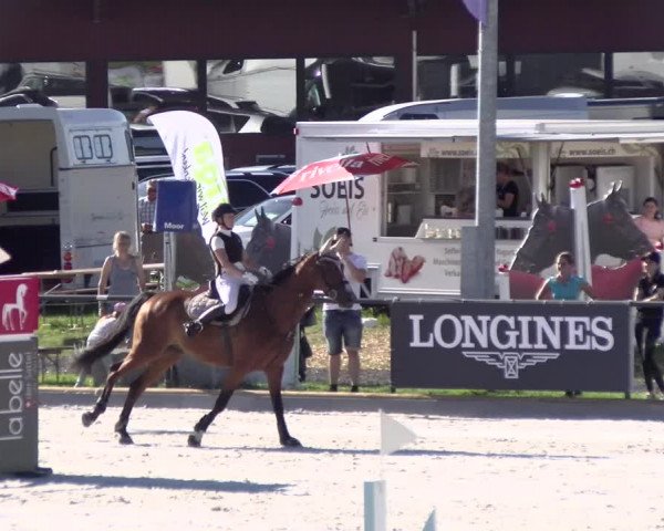 Reitturnier Gossau (Stall Sommersweid) 2022
