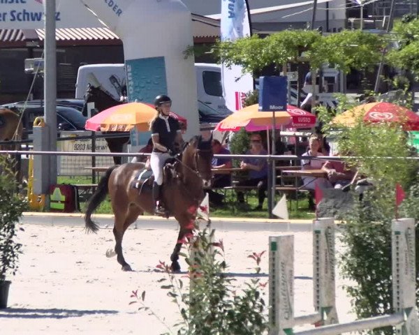 Reitturnier Gossau (Stall Sommersweid) 2022