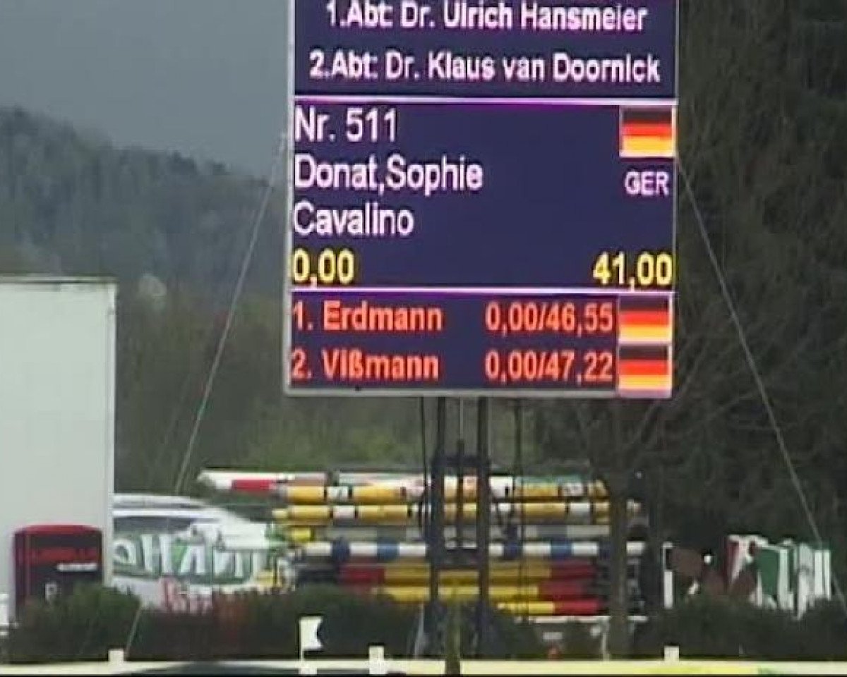 Springpferd Cavalino 10 (Holsteiner, 2003, von Colman)