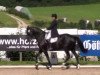 dressage horse Cassis (Hessian Warmblood, 1995, from Charly Chaplin)