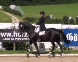 dressage horse Cassis (Hessian Warmblood, 1995, from Charly Chaplin)