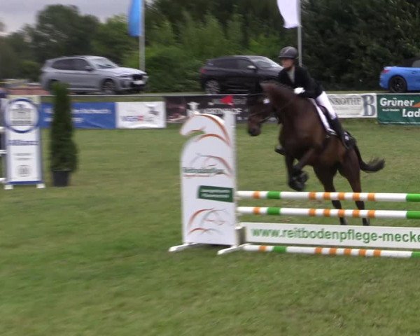 Reitturnier Moringen 2022