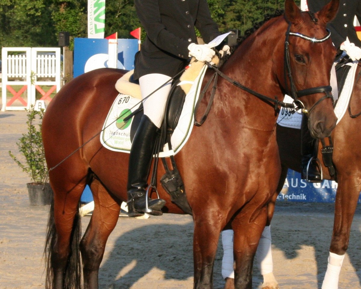 broodmare Fannie Mae (Westphalian, 2002, from Florestan I)