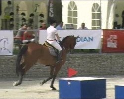 broodmare Cleopatra 140 (Bavarian, 2000, from Asti Spumante 7)