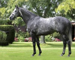 stallion Dalghar xx (Thoroughbred, 2006, from Anabaa xx)