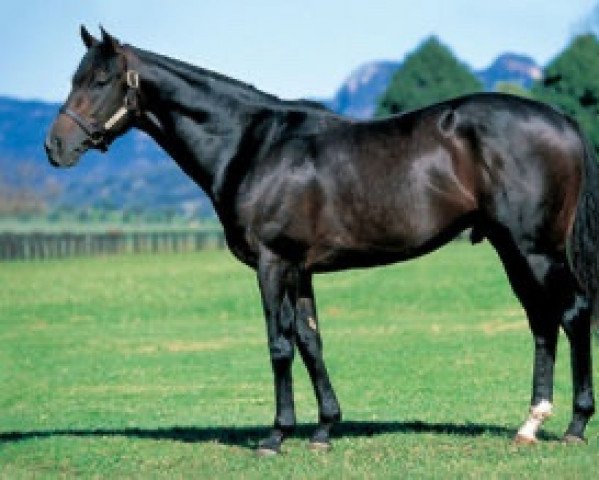 stallion Anabaa xx (Thoroughbred, 1992, from Danzig xx)
