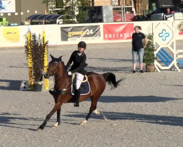 Reitturnier Gossau (Stall Sommersweid) 2022