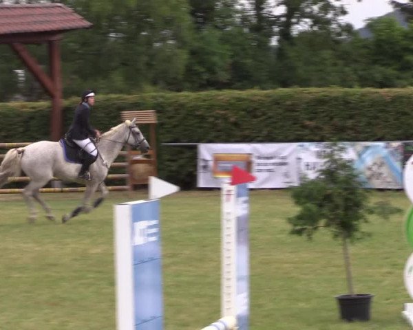 Reitturnier Moringen 2022