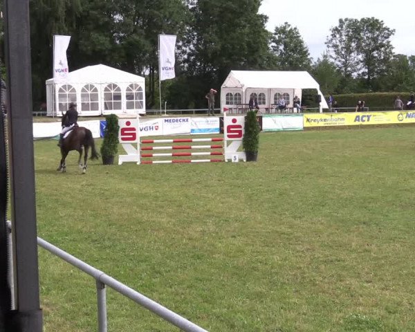 Reitturnier Moringen 2022