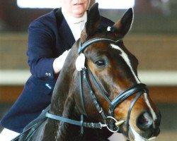 dressage horse Don Manni (Rheinländer, 2003, from Donnergraaf)