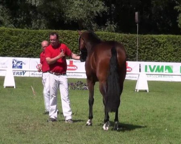 broodmare Leonora (Westphalian, 2009, from Laudabilis)