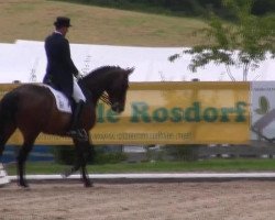 dressage horse Floredo 2 (Westphalian, 2004, from Florestan I)