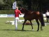 broodmare Coeur de Maxi (Westphalian, 2009, from Coupe de Coeur 2)