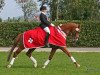 dressage horse Rubinetto KZI (Swiss Warmblood, 2003, from Rubicell)