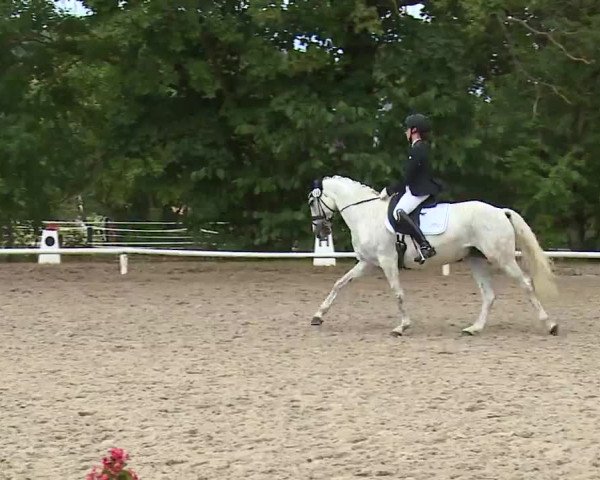 Reitturnier Hof-Haidt/Ofr. 2022